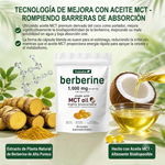 🌿 Berberina 1000 mg con Aceite MCT | 60 Cápsulas
